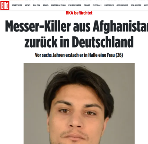 Bild zum Beitrag