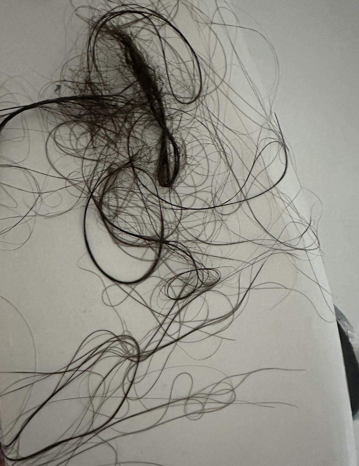Ist es normal beim duschen so viel haare zu verlieren? (Mädchen, Frauen