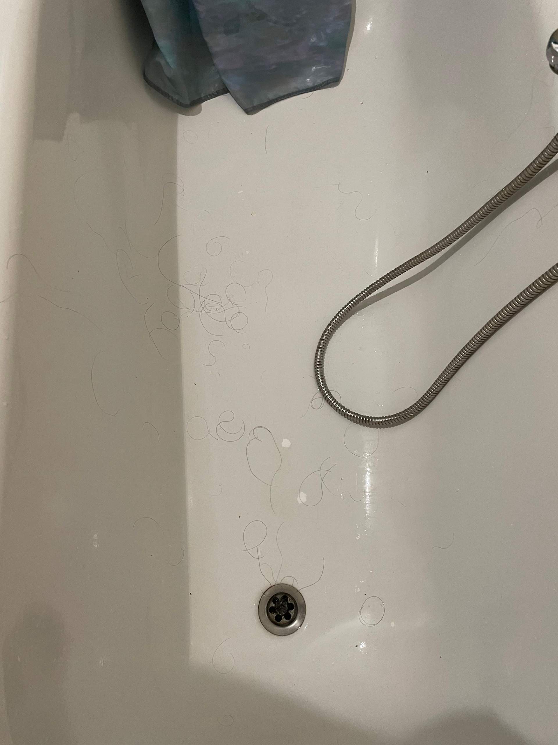 Wie Viele Haare Verliert Man Beim Duschen Ist es normal das beim waschen der Haare so viele Haare ausfallen
