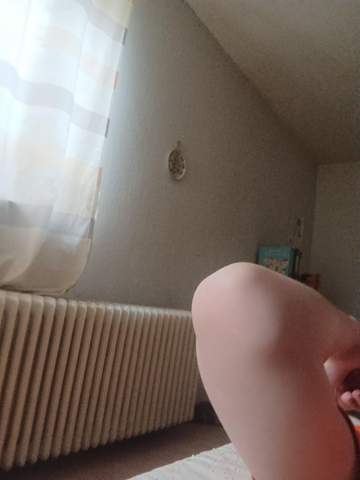 Bild zum Beitrag