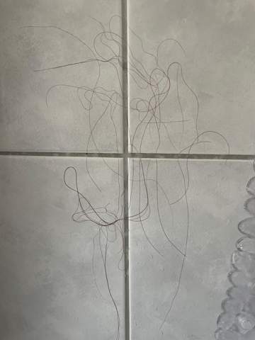 Ist es normal diese Menge an Haaren beim Duschen zu verlieren?