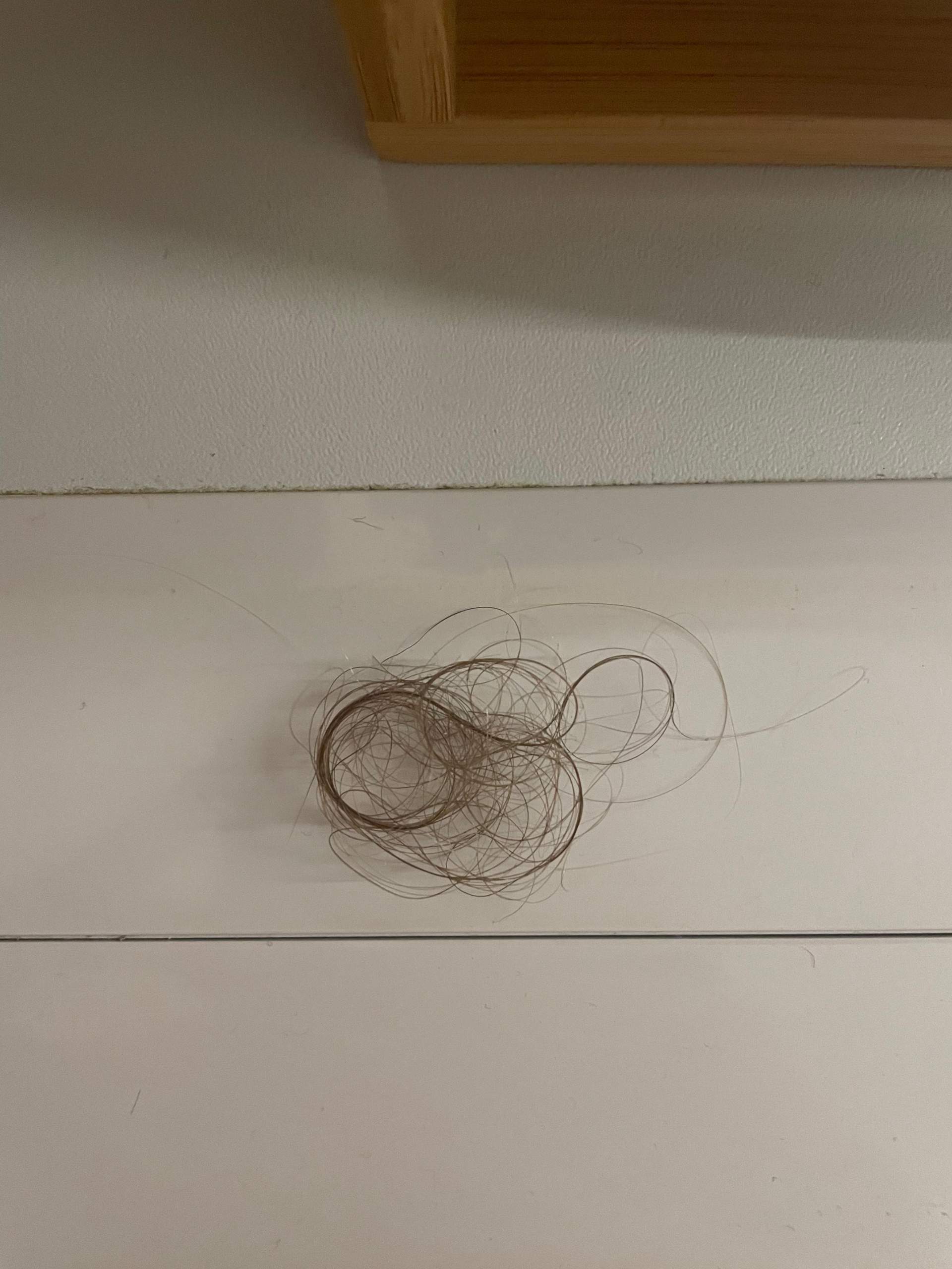 Wie Viele Haare Verliert Man Beim Duschen ist es normal so viele haare beim duschen zu verlieren? (Pflege
