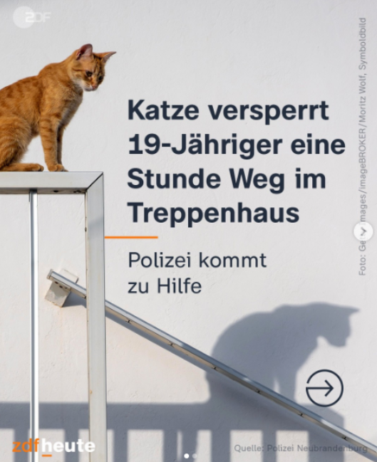 Postet Ist es wichtig, dass der ÖRR sowas postet? (Tiere, Gesellschaft ...