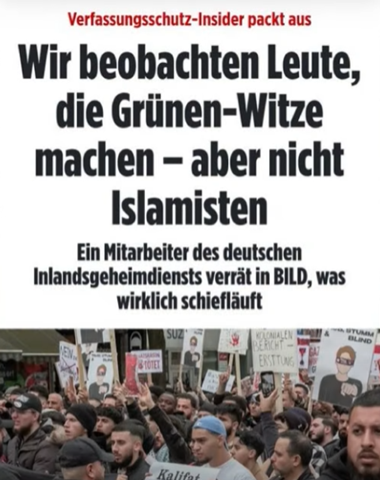 Bild zum Beitrag