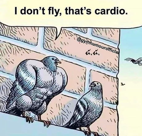 Ist Fliegen wirklich Cardio?