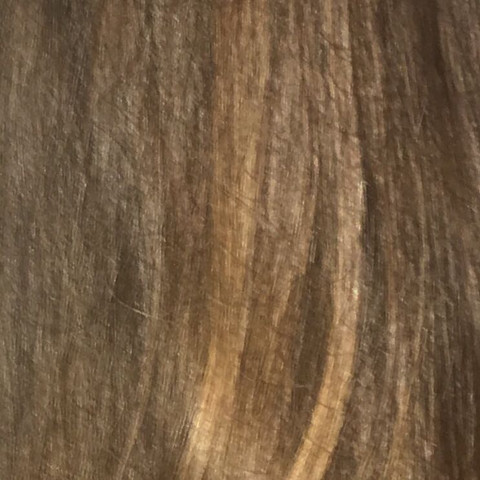 ist garnier olia zum haare farben gut