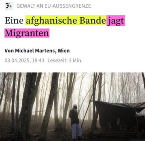 Bild zum Beitrag