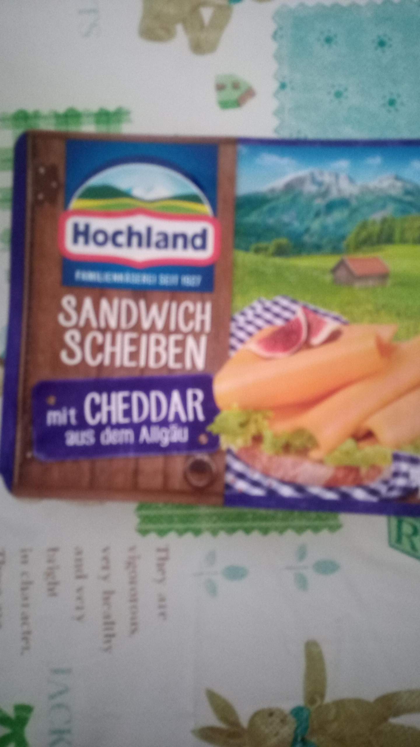 Hochland sandwich showing different layers of cheese and pork