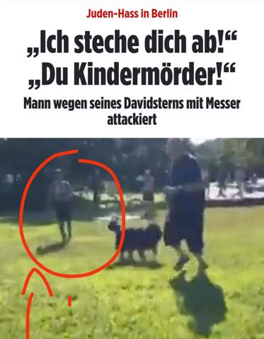 Bild zum Beitrag