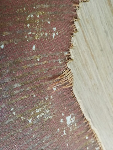 Ist Mein Alter Boden Asbest Haltig Bodenbelag