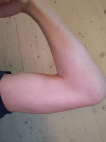Bild zum Beitrag