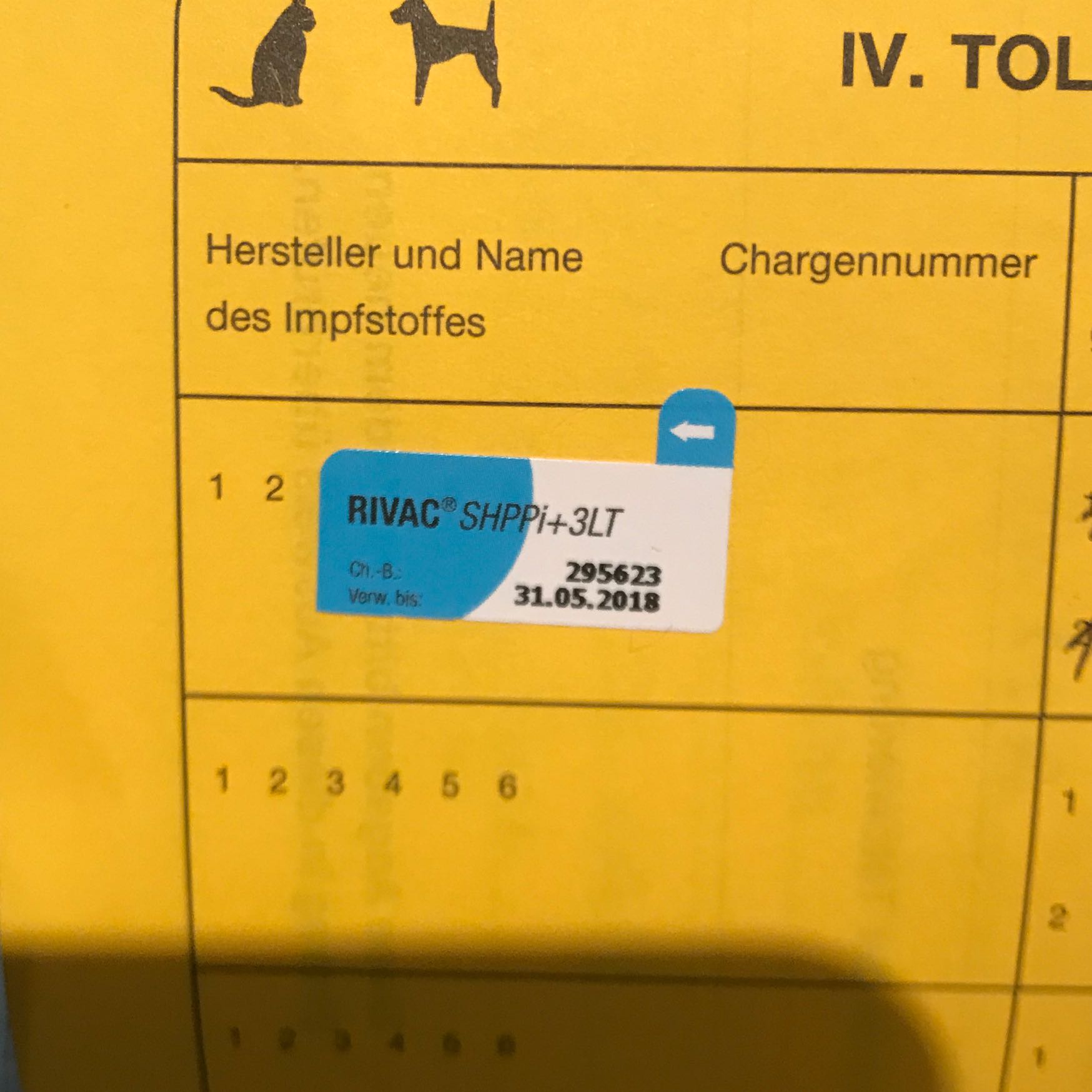 Ist mein Hund gegen zwingerhusten geimpft? (Welpen, Impfung)