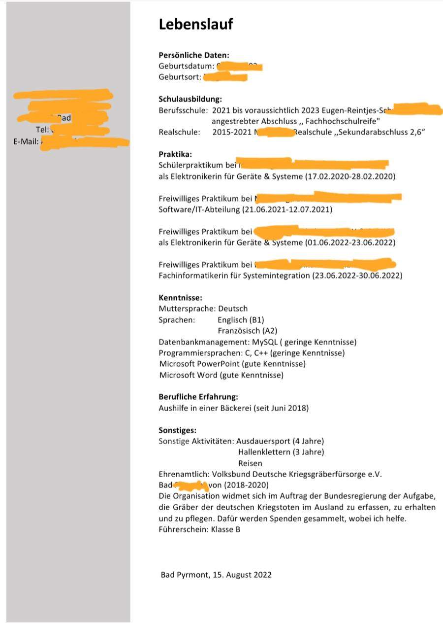 Ist mein Lebenslauf so in Ordnung? (Bewerbung)