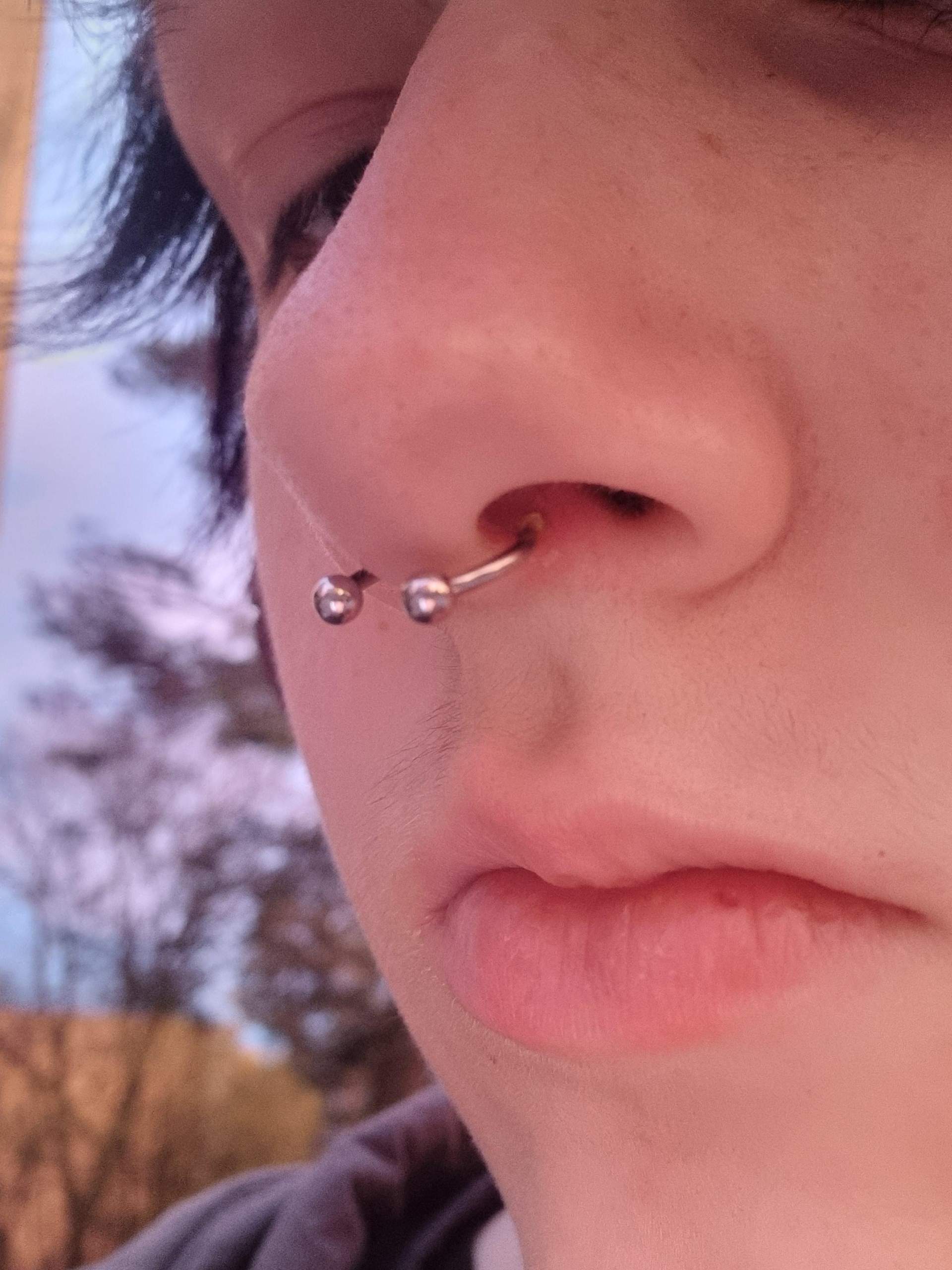 Zu Welcher Nase Passt Ein Septum Ist mein Septum so richtig? (Piercing, Entzündung, Nase)