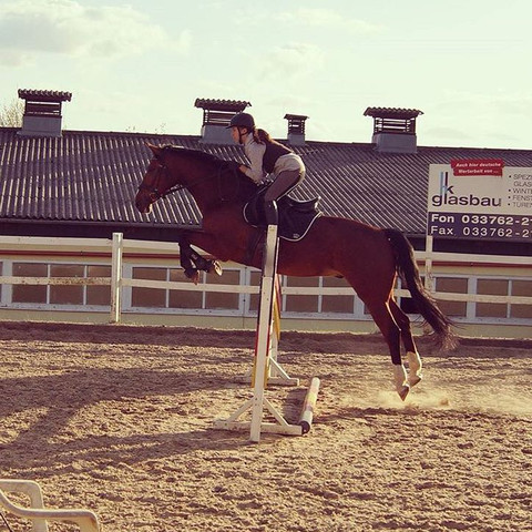 Ist Mein Sitz Beim Springen Zu Weit Vorne Pferde Reiten