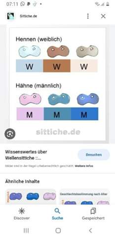 Bild zum Beitrag