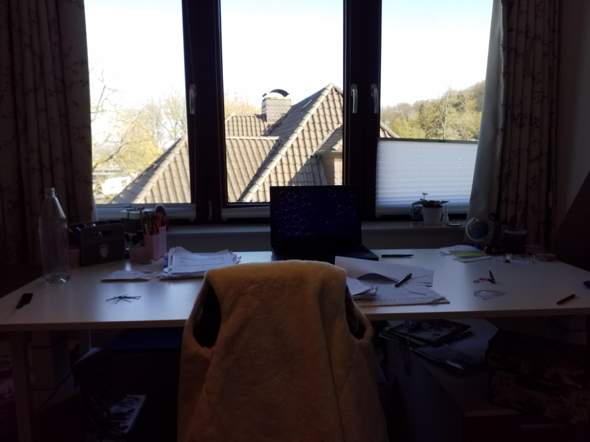 Bild zum Beitrag