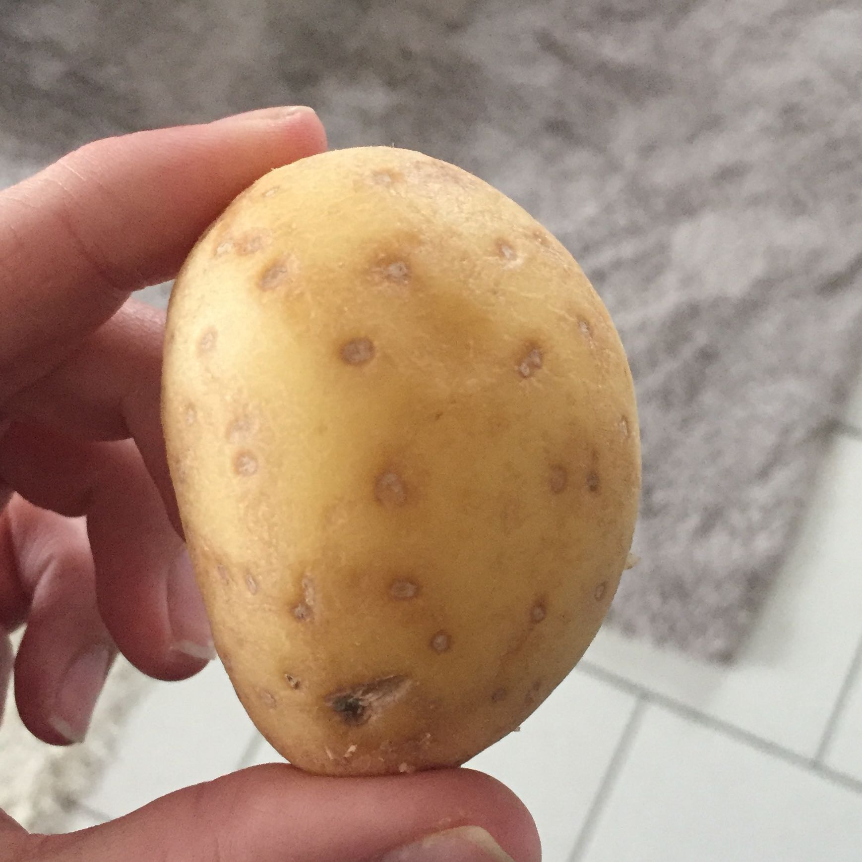 Ist meine Kartoffel noch gut? Weiße Punkte? (kochen, Kartoffeln)