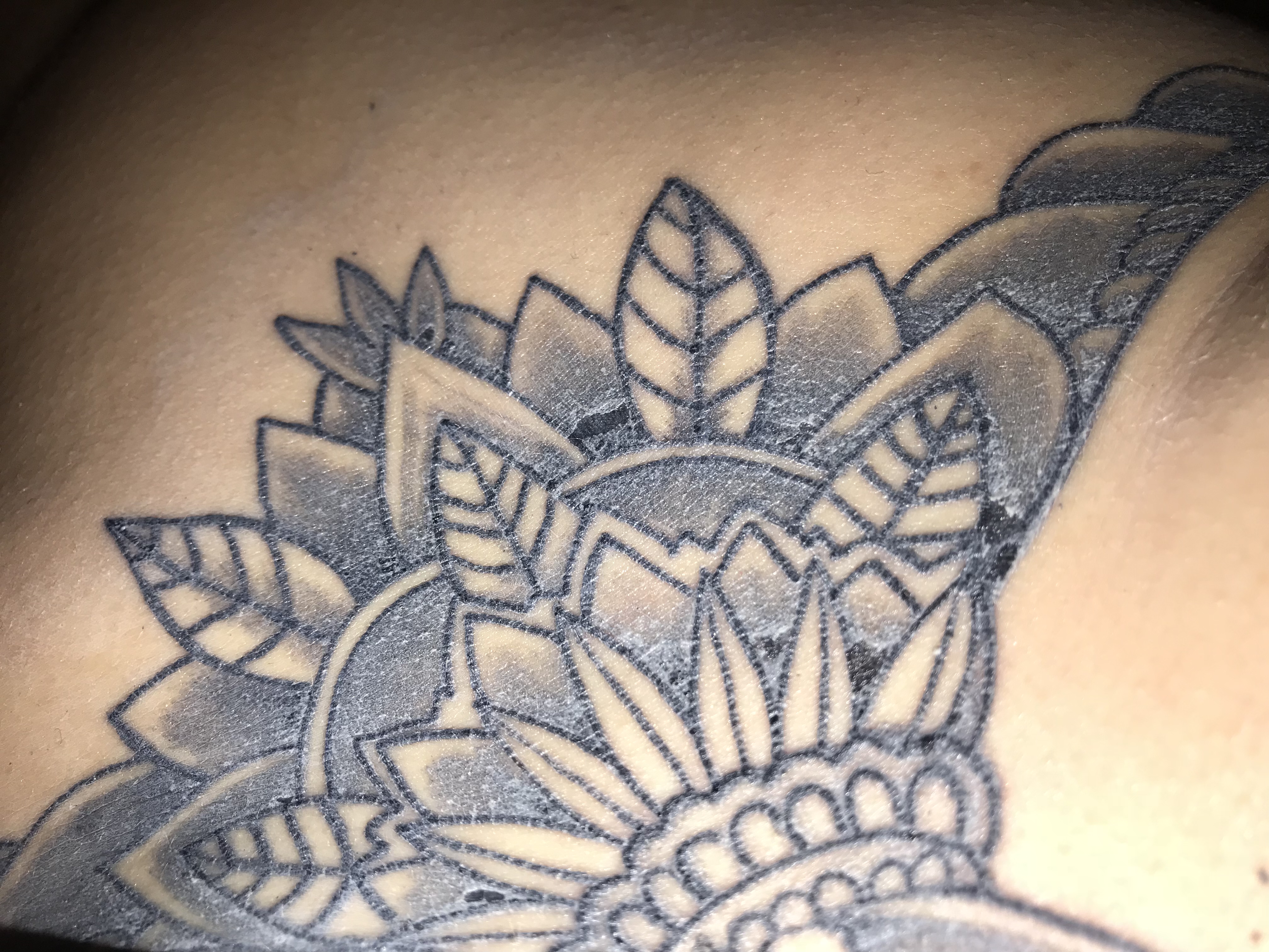 Ist meine Tattoo Kruste normal?