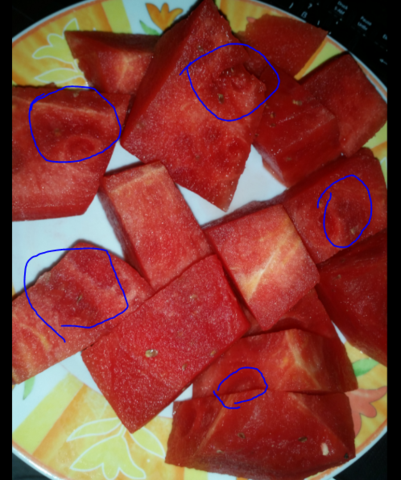 - (Schlecht, Wassermelone)