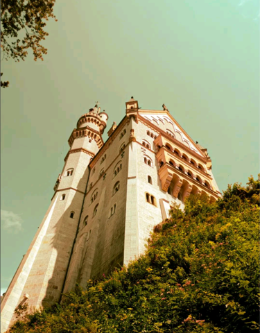Bild zum Beitrag