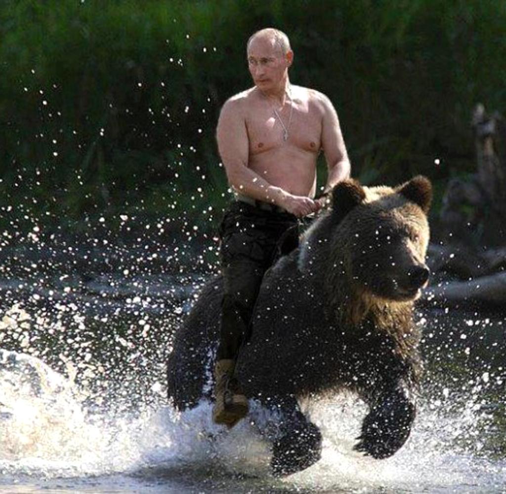 Russia bear steam фото 91