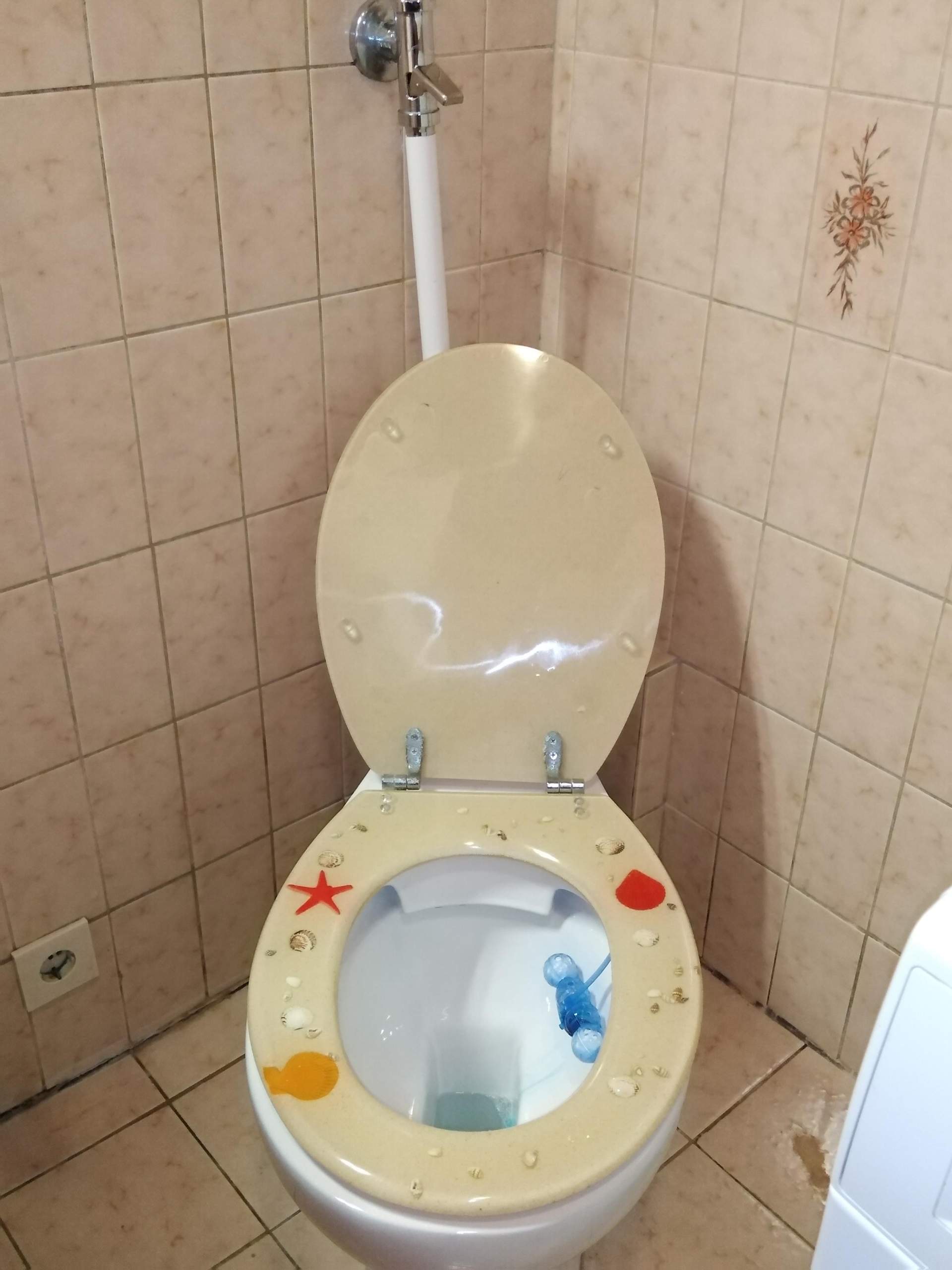 Ist so eine Toilette normal? (Pflege, Reinigung)
