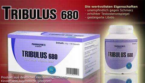 - (Muskelaufbau, Tribulus)
