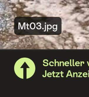 Bild zum Beitrag
