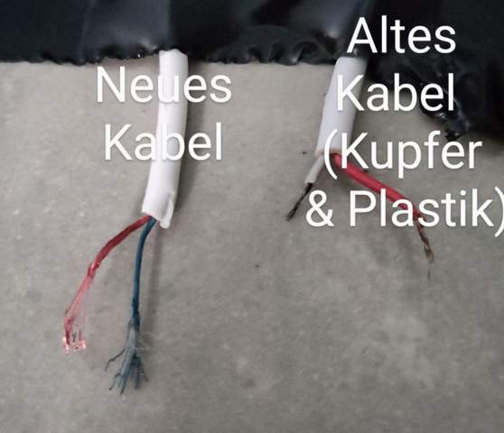 Bild zum Beitrag