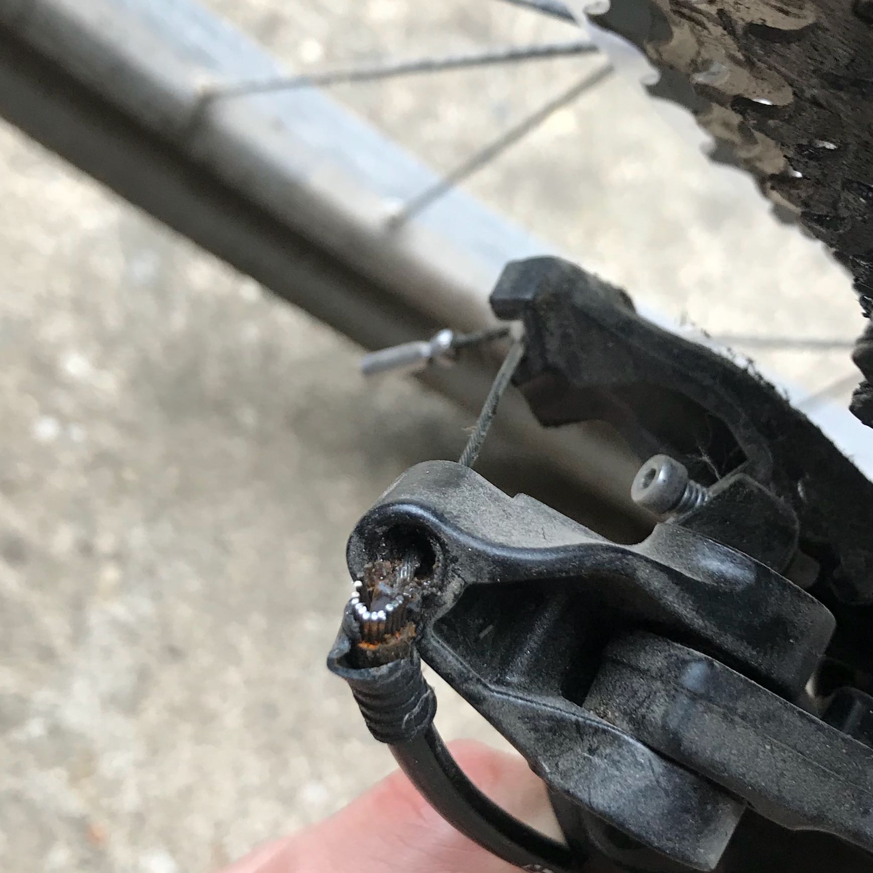 Kabel Von Schaltzug Gerissen Was Tun Siehe Bild Fahrrad Mountainbike Bike