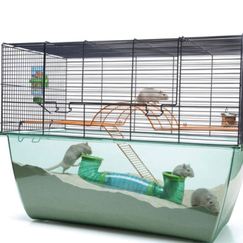 Käfig für Zwerghamster -.-.? (Tiere, Haustiere, Hamster) - 0 Big Käfig für Zwerghamster -.-.? (Tiere, Haustiere, Hamster) - 0 Big