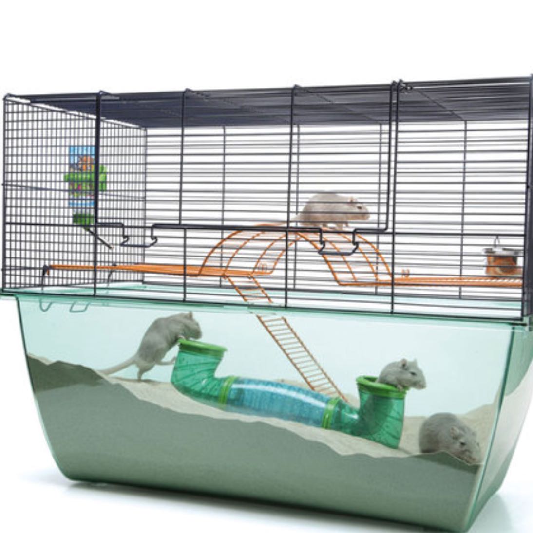 Käfig für Zwerghamster -.-.? (Tiere, Haustiere, Hamster) - 0 Original Käfig für Zwerghamster -.-.? (Tiere, Haustiere, Hamster) - 0 Original