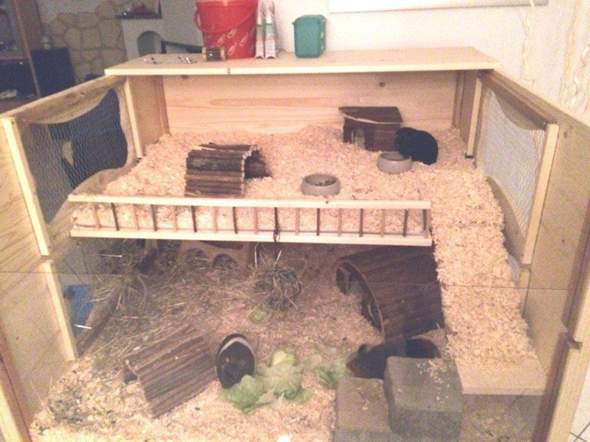Käfig passend für Hamster?