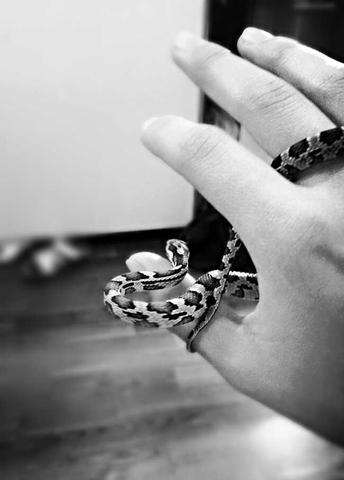 Get Fotografie spruch For Free Fotografie Spruch