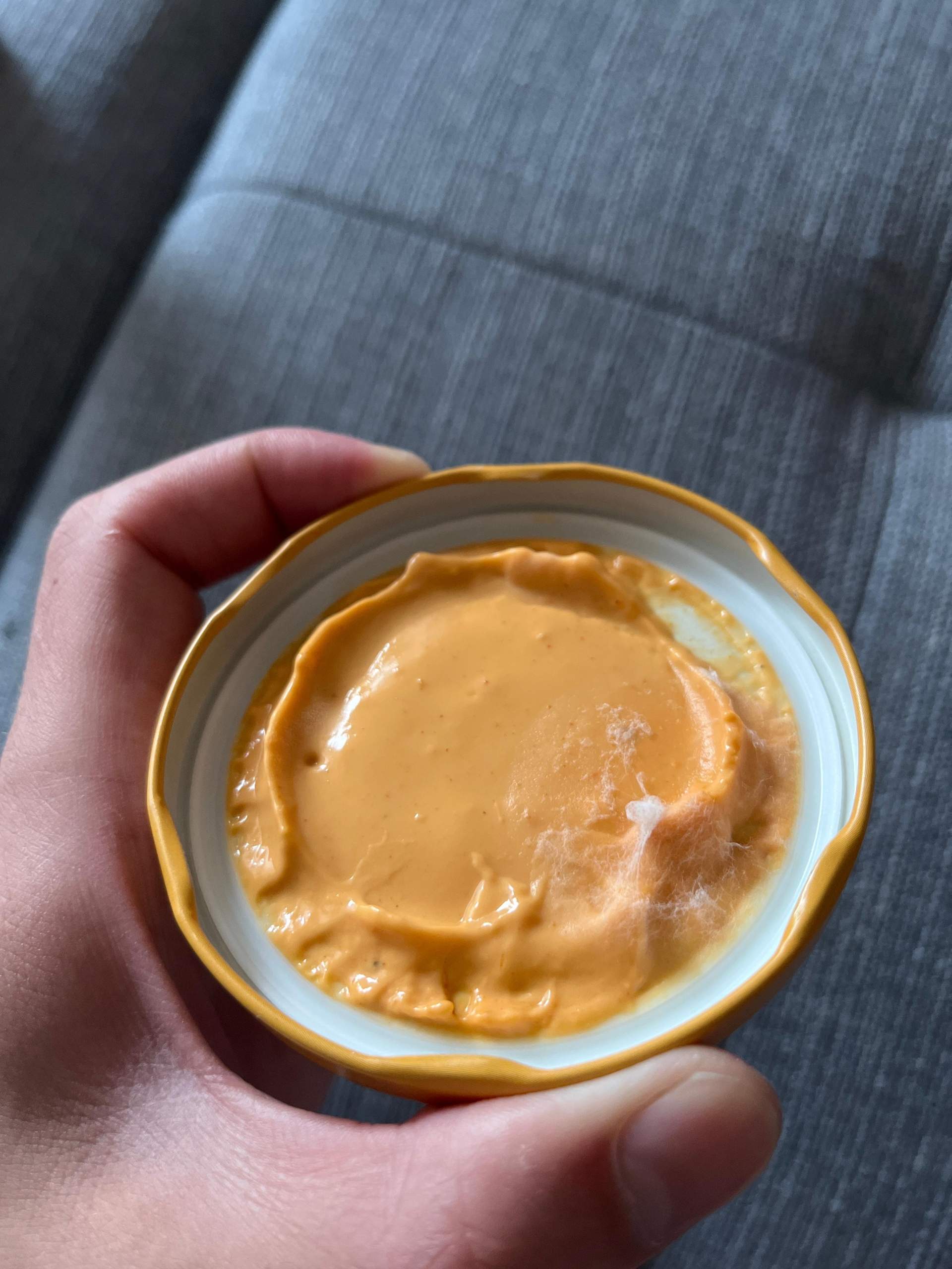 Käse dip noch essbar? (Schimmel, Haltbarkeit, Soße) Käse dip noch essbar? (Schimmel, Haltbarkeit, Soße)