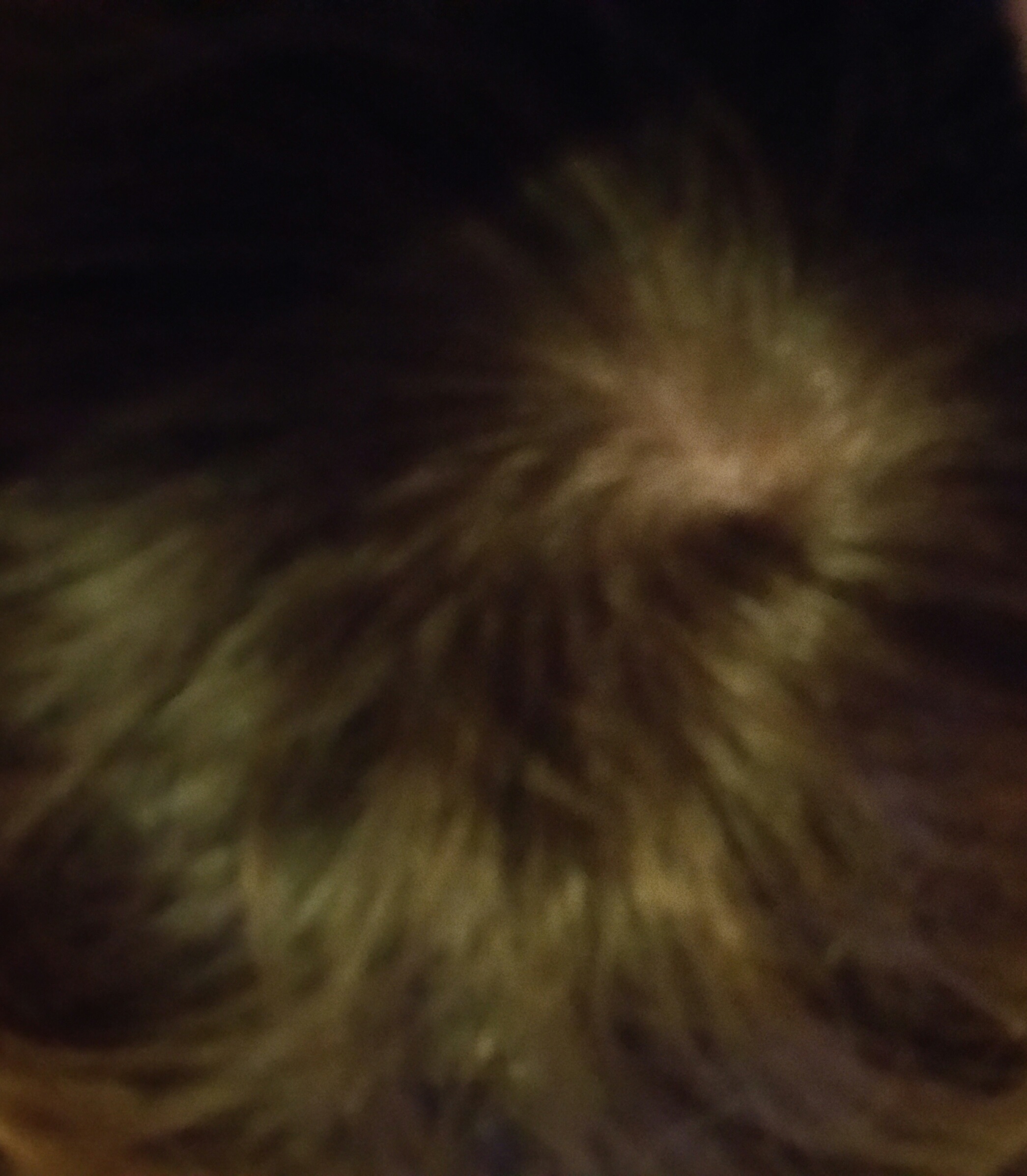 Kahle Stelle Auf Dem Kopf Zwangslaufig Haarausfall Haare Kahle Stelle Auf Dem Kopf Zwangslaufig Haarausfall Haare