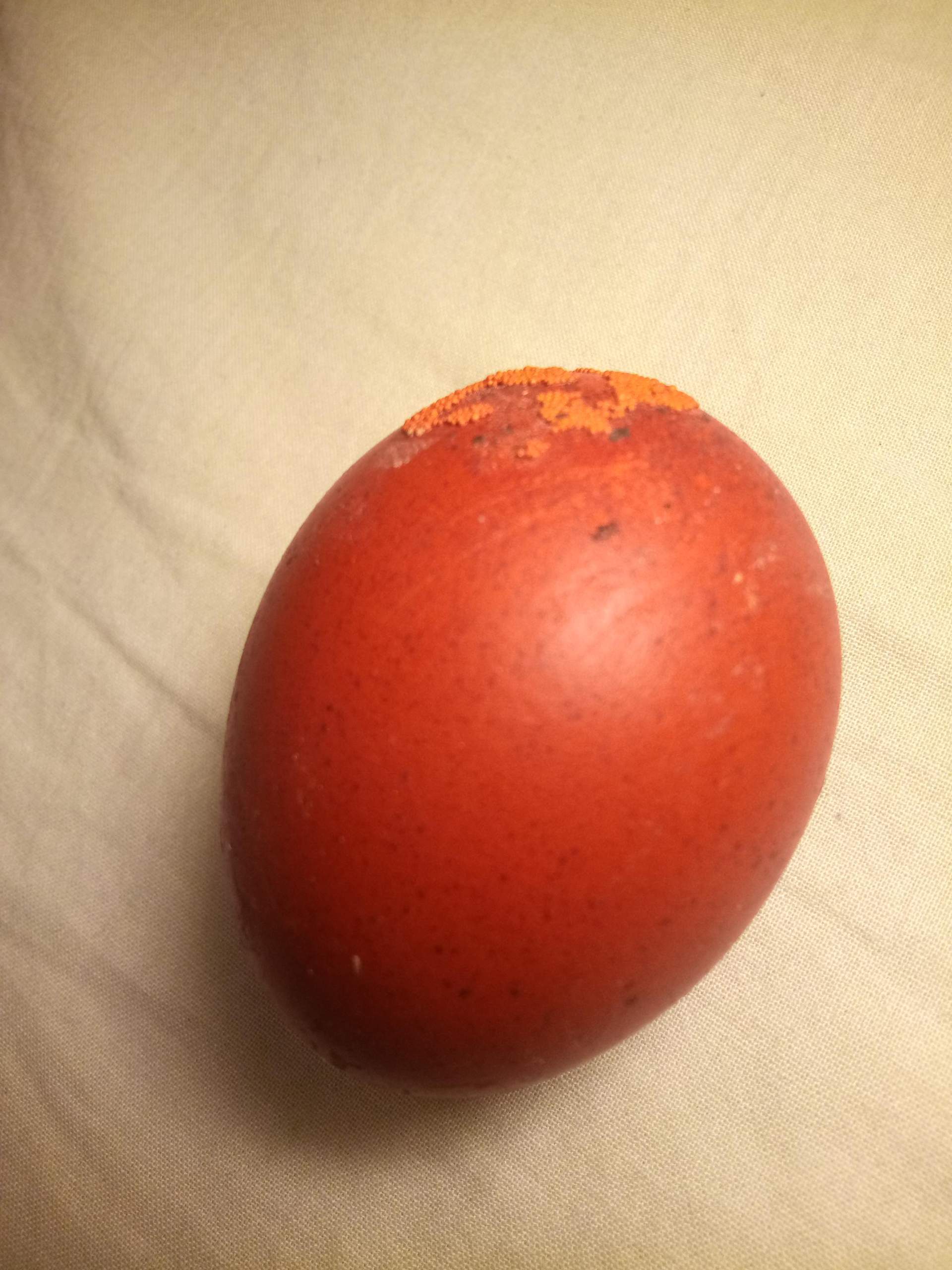 Kalkkügelchen auf dem Hühnerei? (Tiere, Biologie, Eier) Kalkkügelchen auf dem Hühnerei? (Tiere, Biologie, Eier)