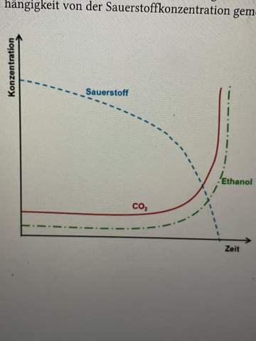 Kann bei aerober Atmung auch Ethanol und CO2 entstehen?