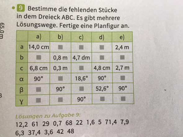 Bild zum Beitrag