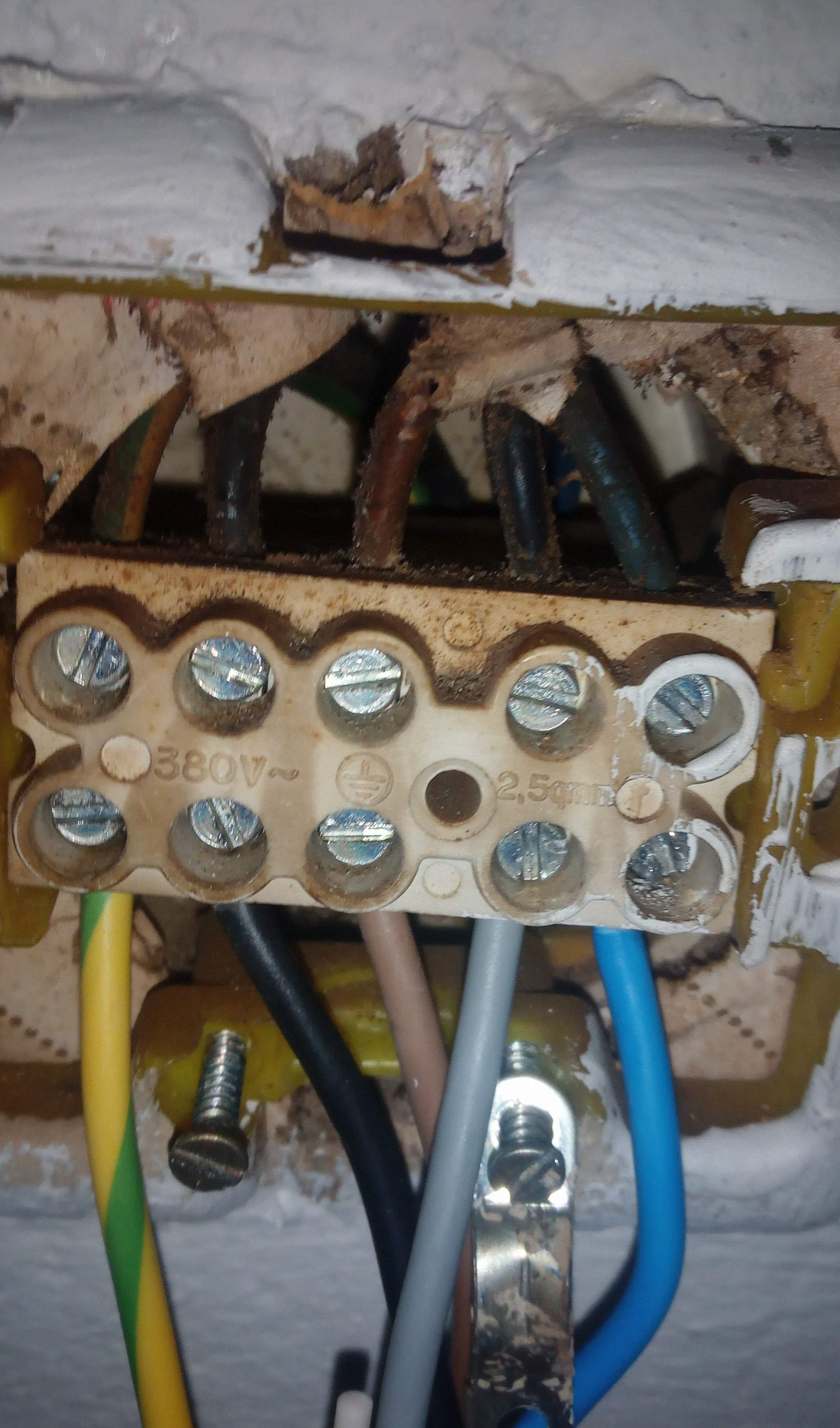 kann das kabel vom herd so angeschlossen werden iich habe in der wanddose zwei schwarzen kabel das anschlusskabel aber nur ein schwarz computer technik technologie