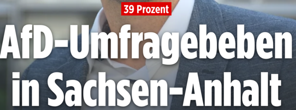 Bild zum Beitrag