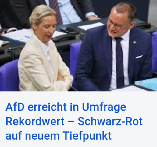Bild zum Beitrag