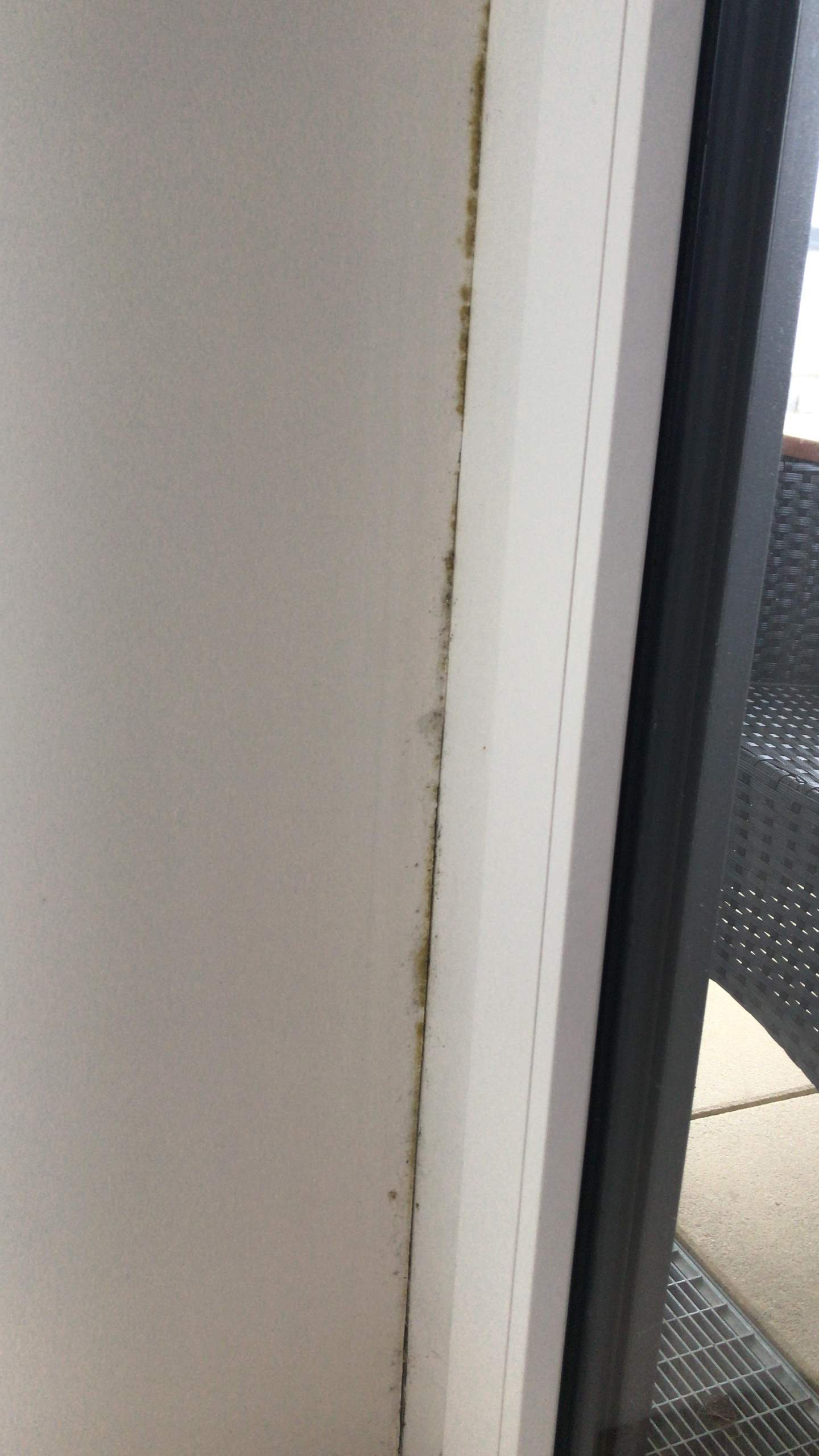 Kann dieser Schimmel im Schlafzimmer durch Falsches Lüften entstanden