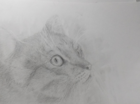 das bild - (Kunst, zeichnen, malen)