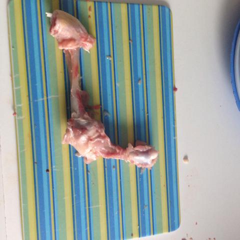 Die Knochen - (Tiere, Hund, Knochen)