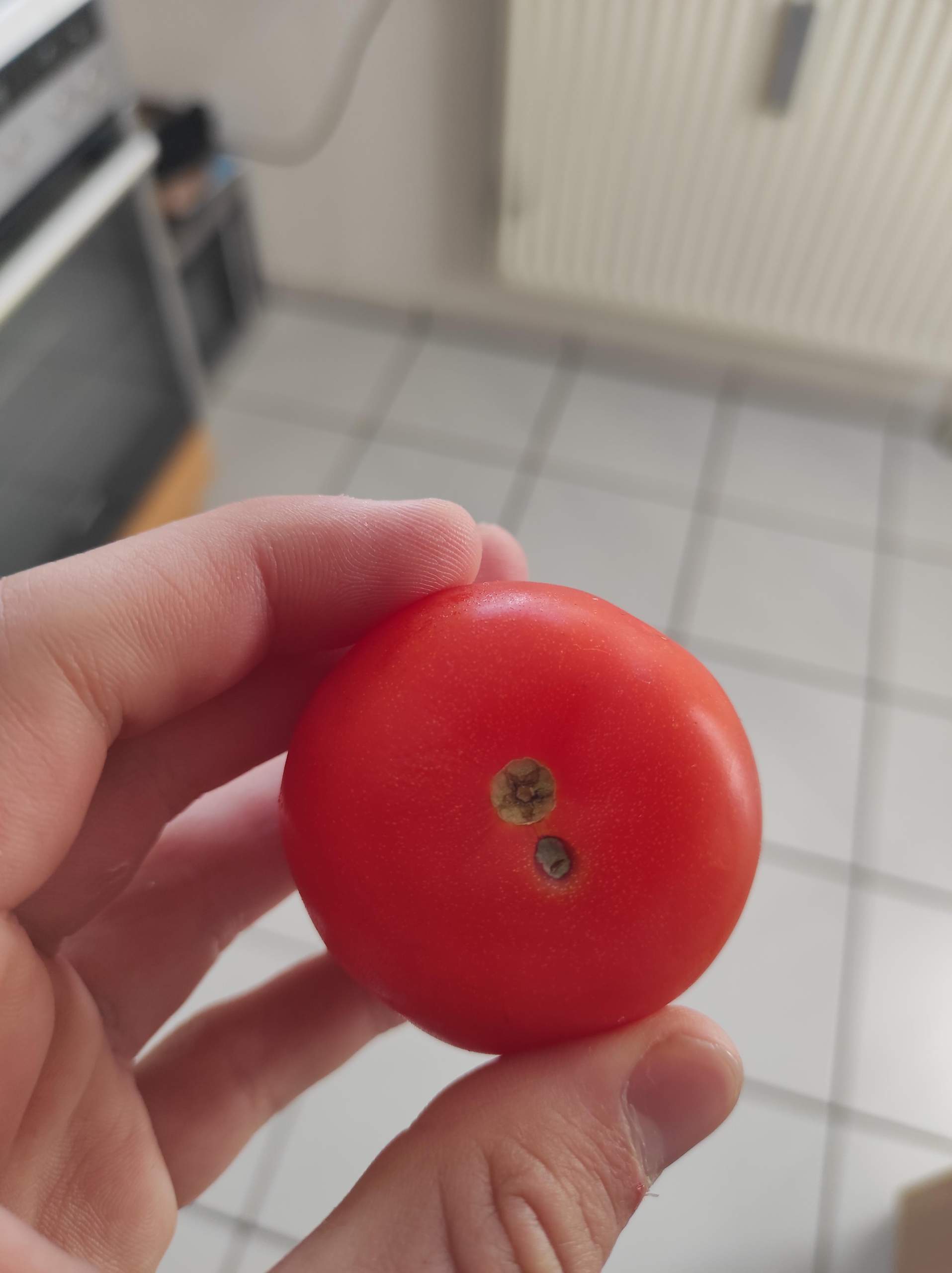 Kann ich diese Tomate noch essen? (Schimmel, Haltbarkeit, Tomaten)