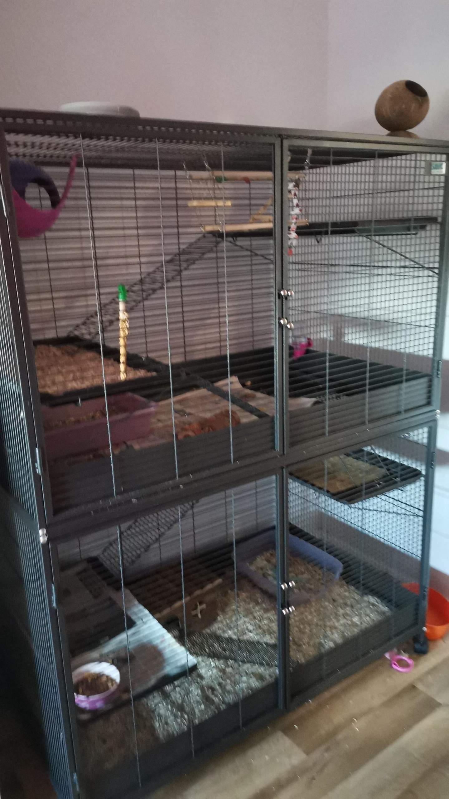 Kann ich diesen Käfig für meinen Hamster nehmen? (Tiere