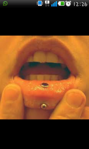 kann ich einen labretstecker fur das ashley racoon piercing verwenden labret