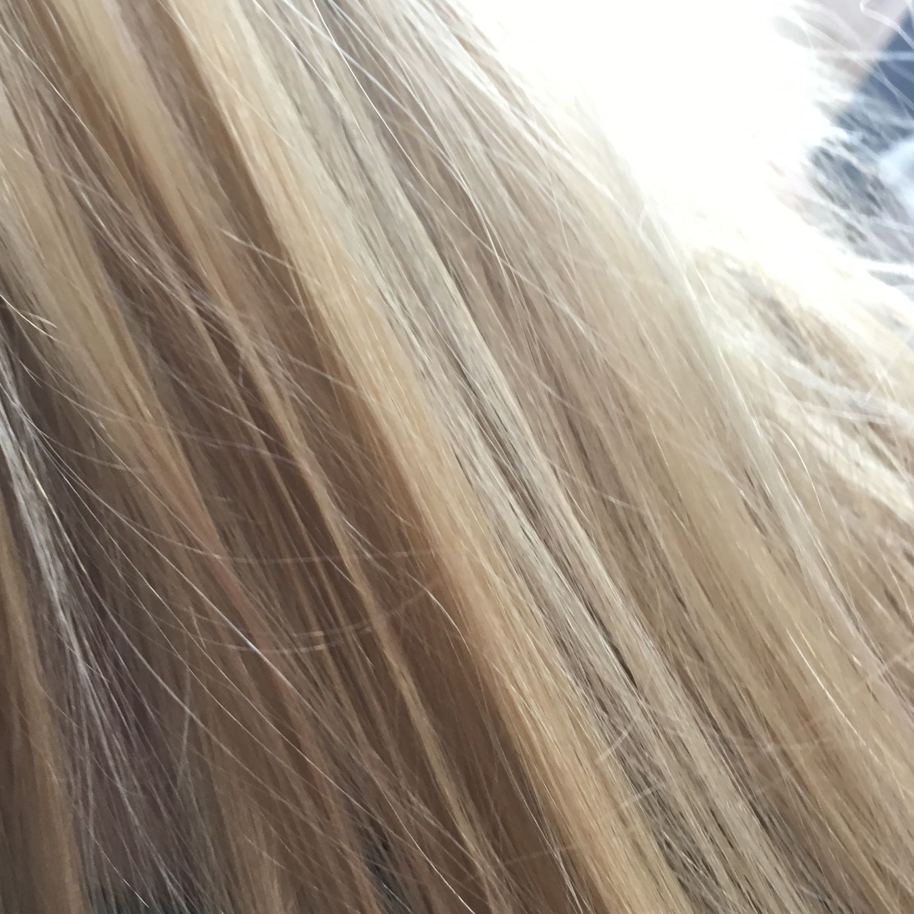 Haare Bunt Machen Ohne Färben